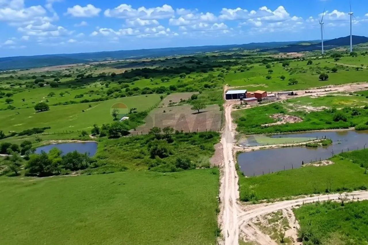 Terreno de 200m² na Serra: Preço Reduzido! - Foto 4