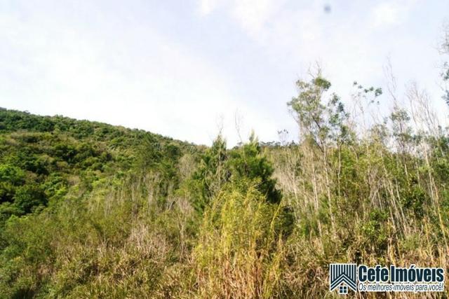 Chácara em Nova Petrópolis RS - Foto 8