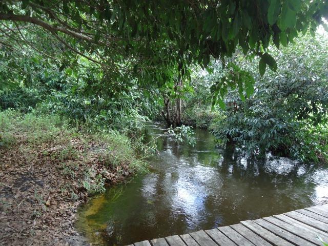 Vendo Fazenda em Ceará Mirim - Foto 20