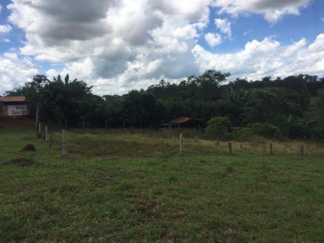 Fazenda com 5,5 Alqueires, Toda Formada, Pontalina Goiás, - Foto 4