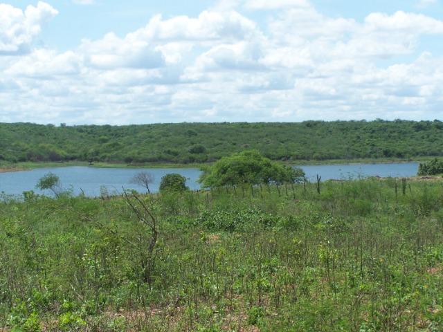 Vendo Fazenda em Poço Branco - Foto 4