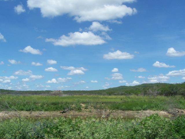 Vendo Fazenda em Poço Branco - Foto 12