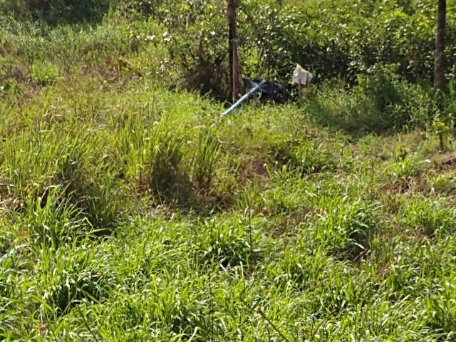 Fazenda com 180 Hectares a 8 km da Pista de Cortês-PE - Foto 4