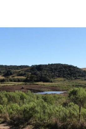 Condôminio, terrenos de 1.000 mts 32.000 - Foto 3