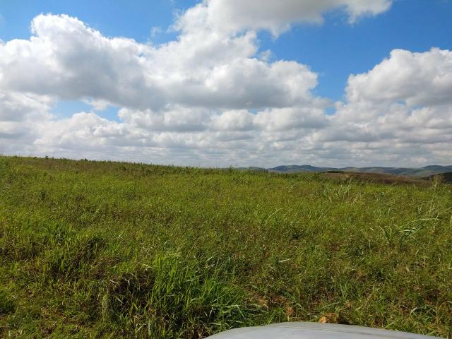 Fazenda com 180 Hectares a 8 km da Pista de Cortês-PE - Foto 6