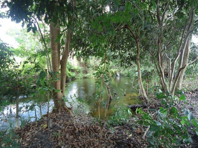 Vendo Fazenda em Ceará Mirim - Foto 19
