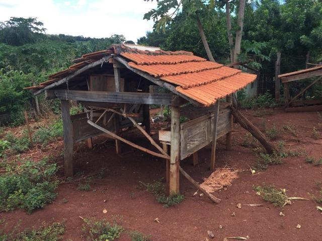 Fazenda com 5,5 Alqueires, Toda Formada, Pontalina Goiás, - Foto 13