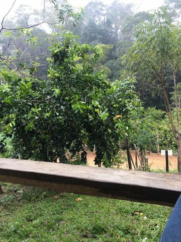 Vende-se Fazenda no Boqueirão de Itajuru - BA - Foto 5