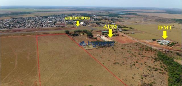 Área à venda, 110000 m² por r$ 4.400.000,00 - novo diamantino - diamantino/mt - Foto 4