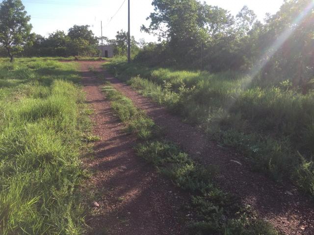 Terreno