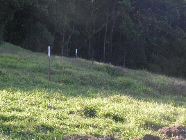 Agt-ótimo terreno para construir chacará na região de Mairiporã - Foto 14