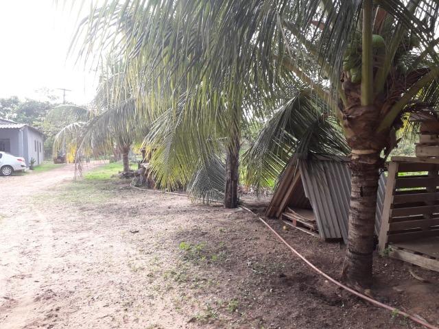 Vende-se uma chácara com 2 casas 2400m2 - Foto 6