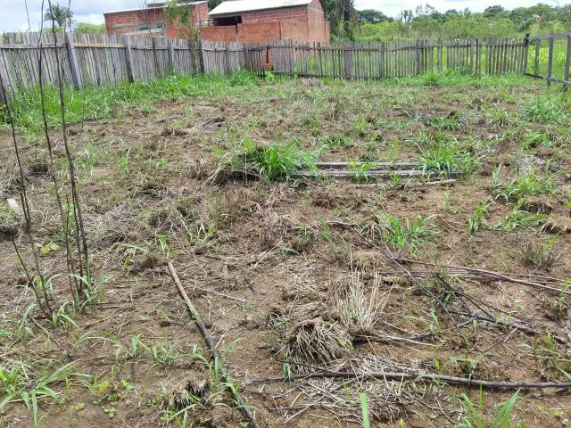 Terreno - Foto 4
