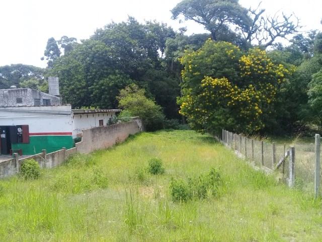 Terreno para alugar em Teresopolis, Porto alegre cod:L00689 - Foto 3