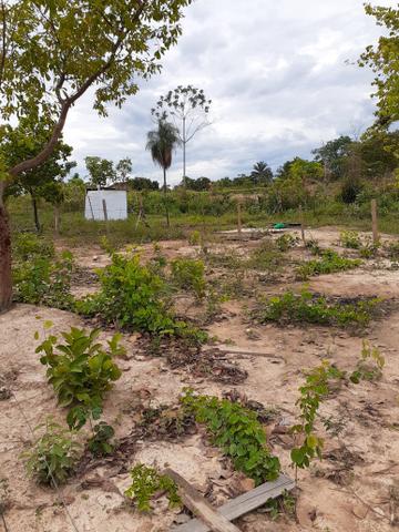 Lote - Foto 2
