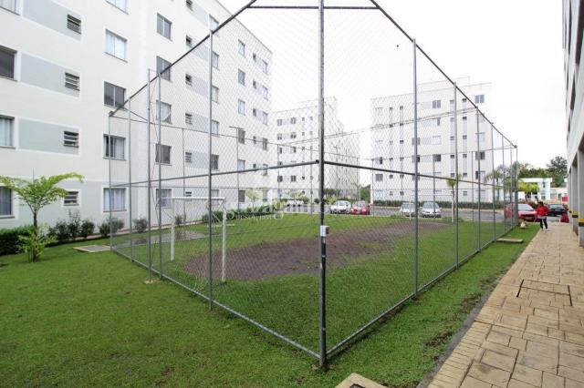 Apartamento para alugar com 2 dormitórios em Pinheirinho, Curitiba cod:13924001 - Foto 15