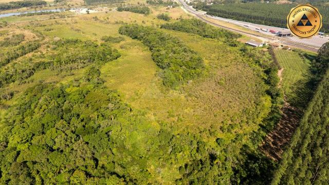 TERRENO à venda, 90.000,00M² por R$4.500.000,00 - MORRO GRANDE - BARRA VELHA/SC - Foto 14