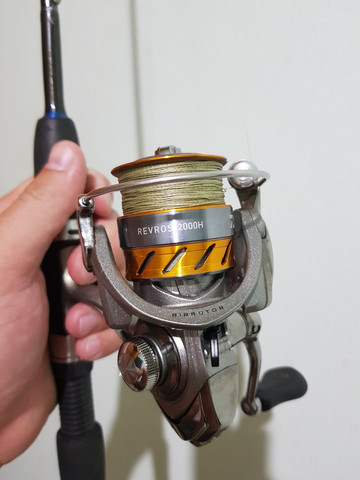 daiwa revros 2000h