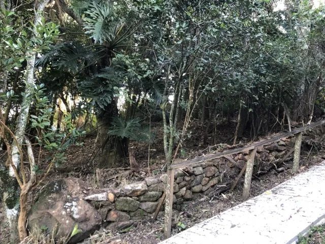 TERRENO RIBEIRÃO DA ILHA - Foto 5