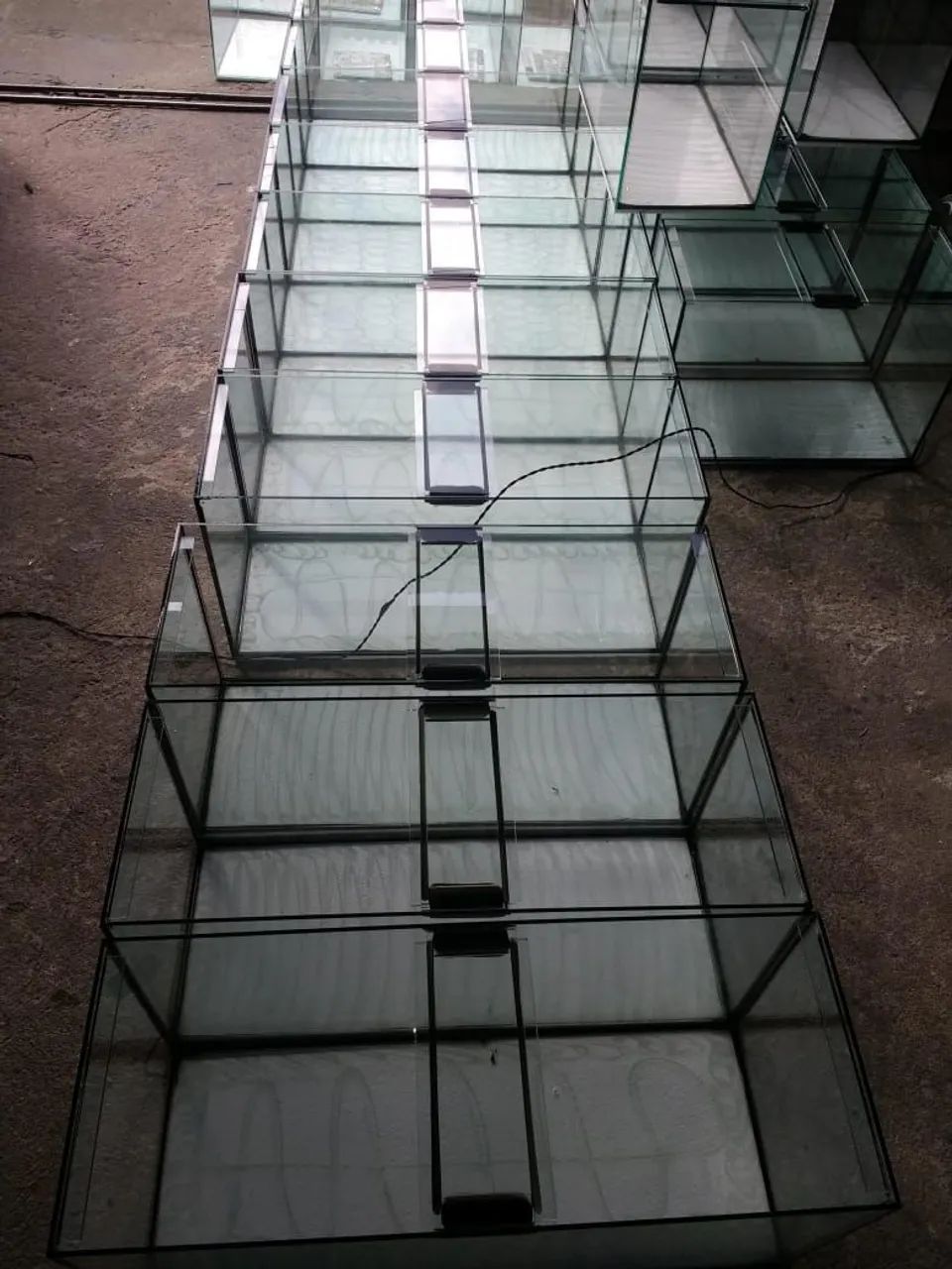 PROMOÇÃO DE AQUARIOS - Foto 4