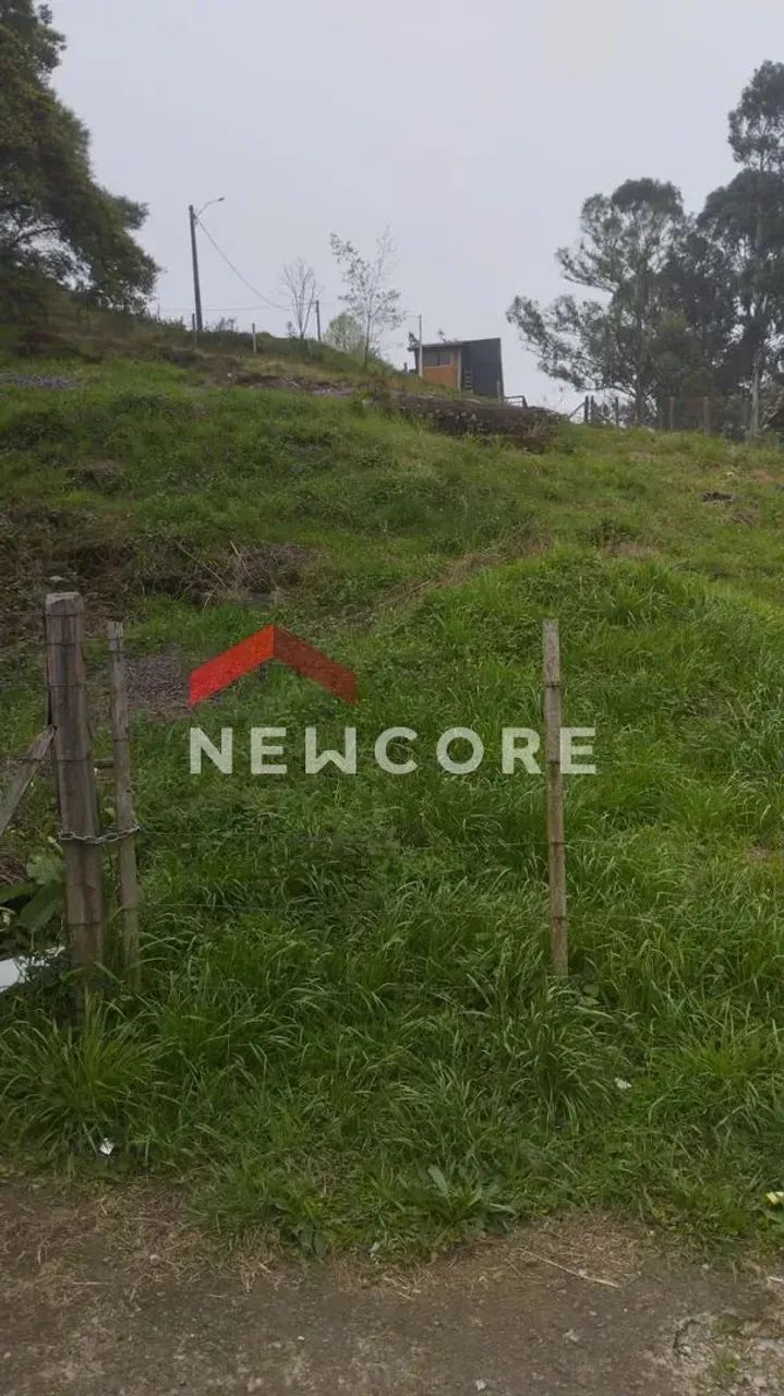 Lote em Marechal Floriano - Centro - São Francisco de Paula/RS - Foto 3