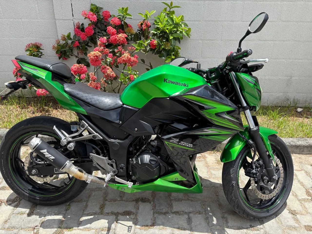 Kawasaki Z300 Special Edition 2016
