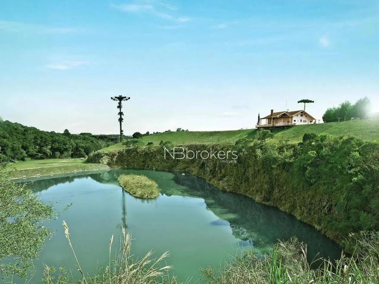 Terreno à venda, 2444 m² por R$ 1.938.000,00 - Riviera - Curitiba/PR - Foto 3