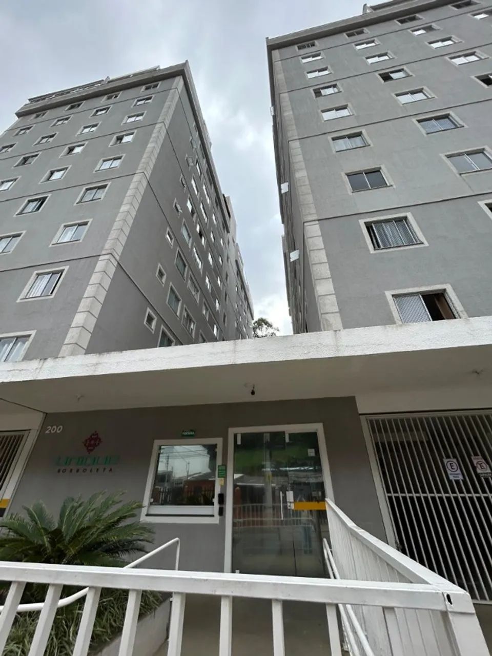 Foto - Juiz de Fora - Borboleta