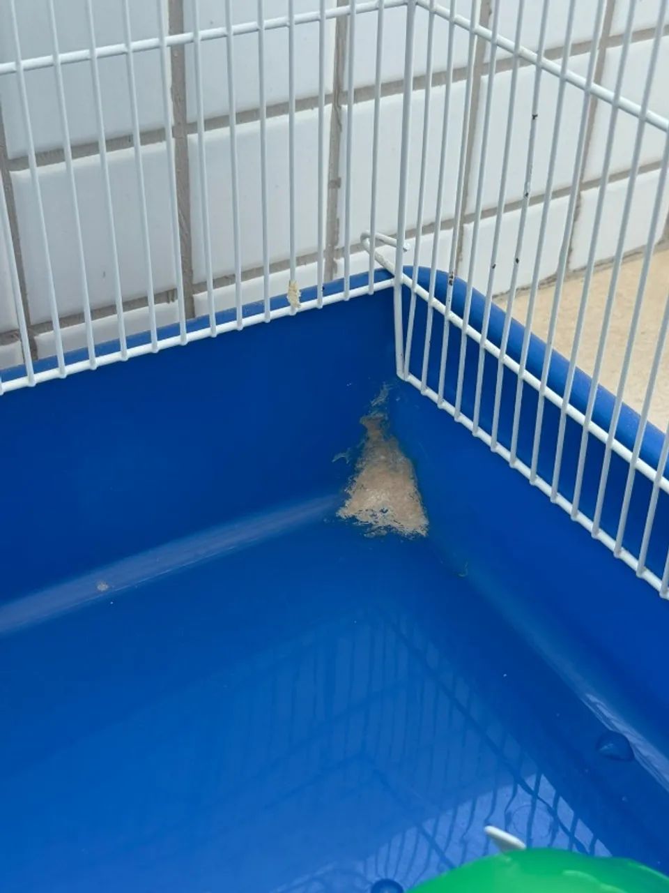 Casinha de Hamster Grande - Foto 4