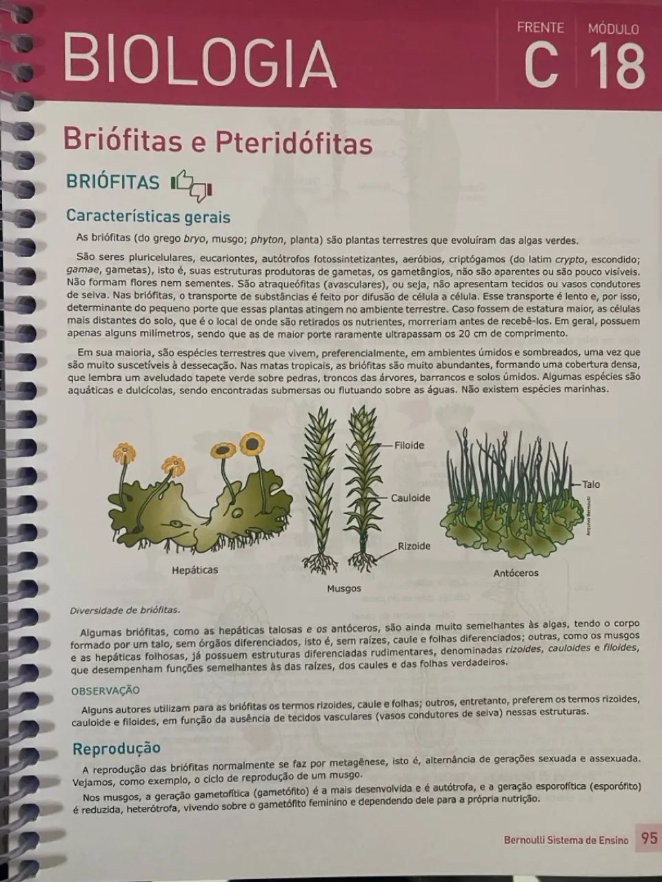 Kit completo Livros Bernoulli  - 12 livros ENEM e vestibulares - Ótimo estado!  - Foto 5