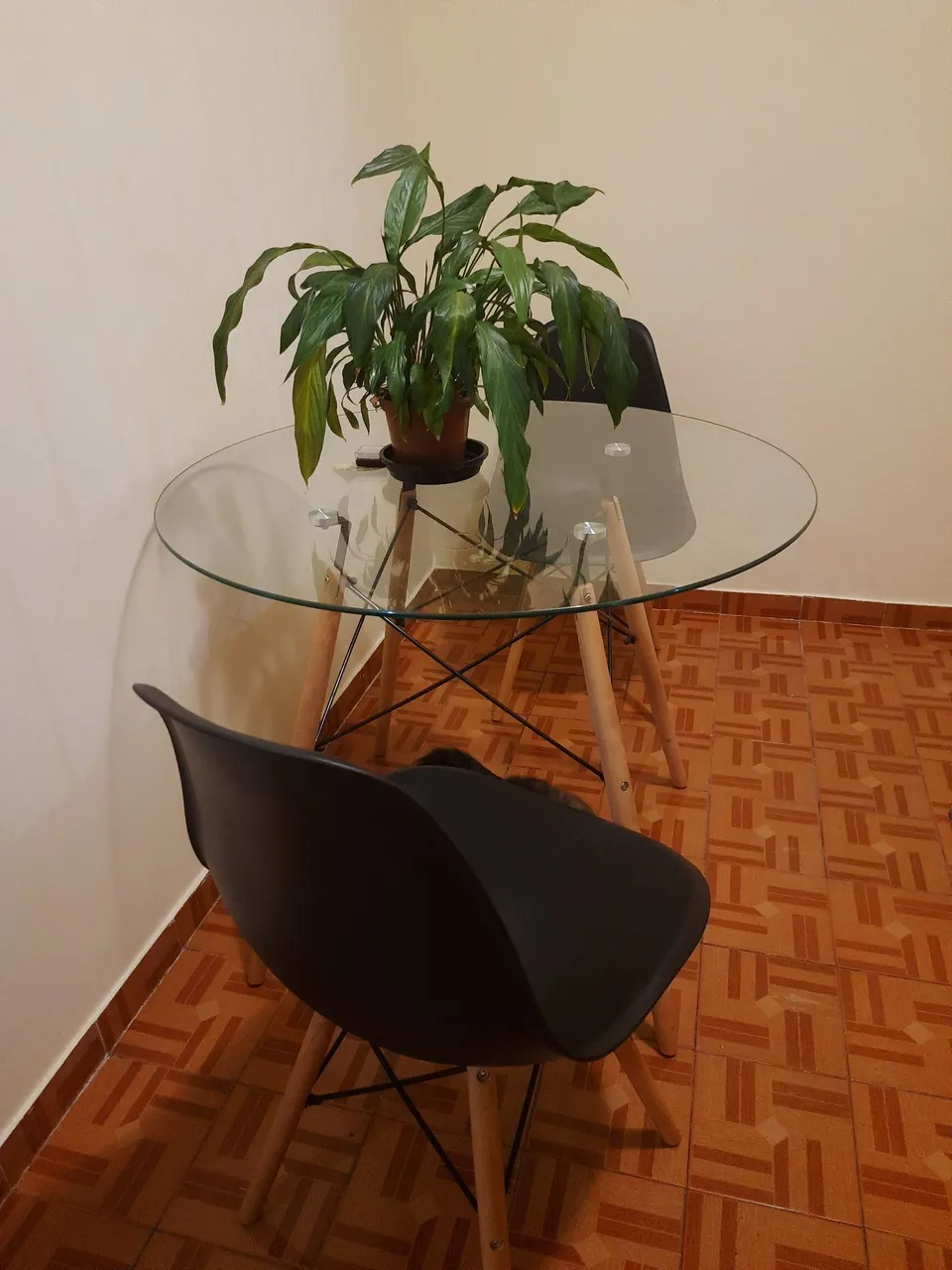 Cadeiras e mesa - Design Moderno