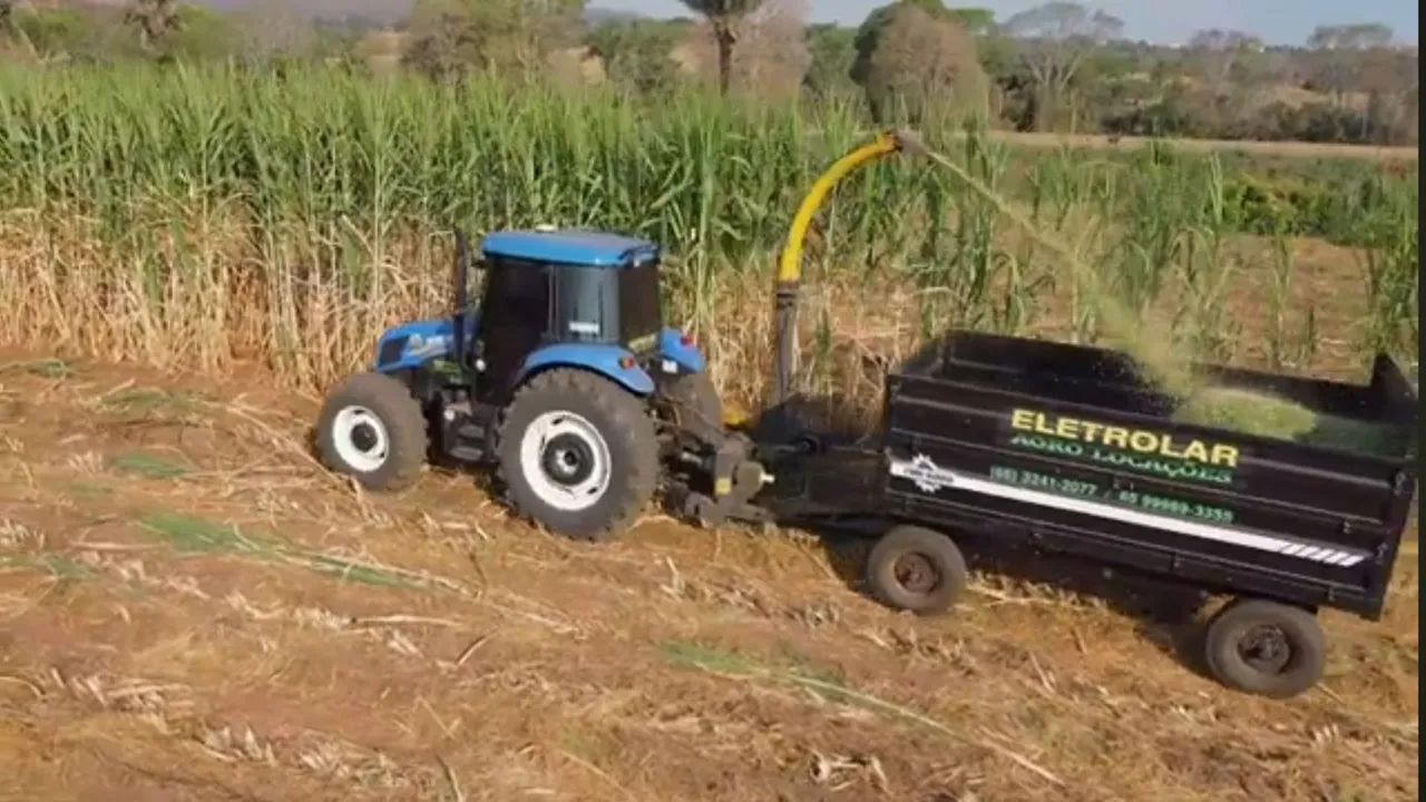 PLANTE BRS CAPIAÇU ANTES DAS TROVOADAS 