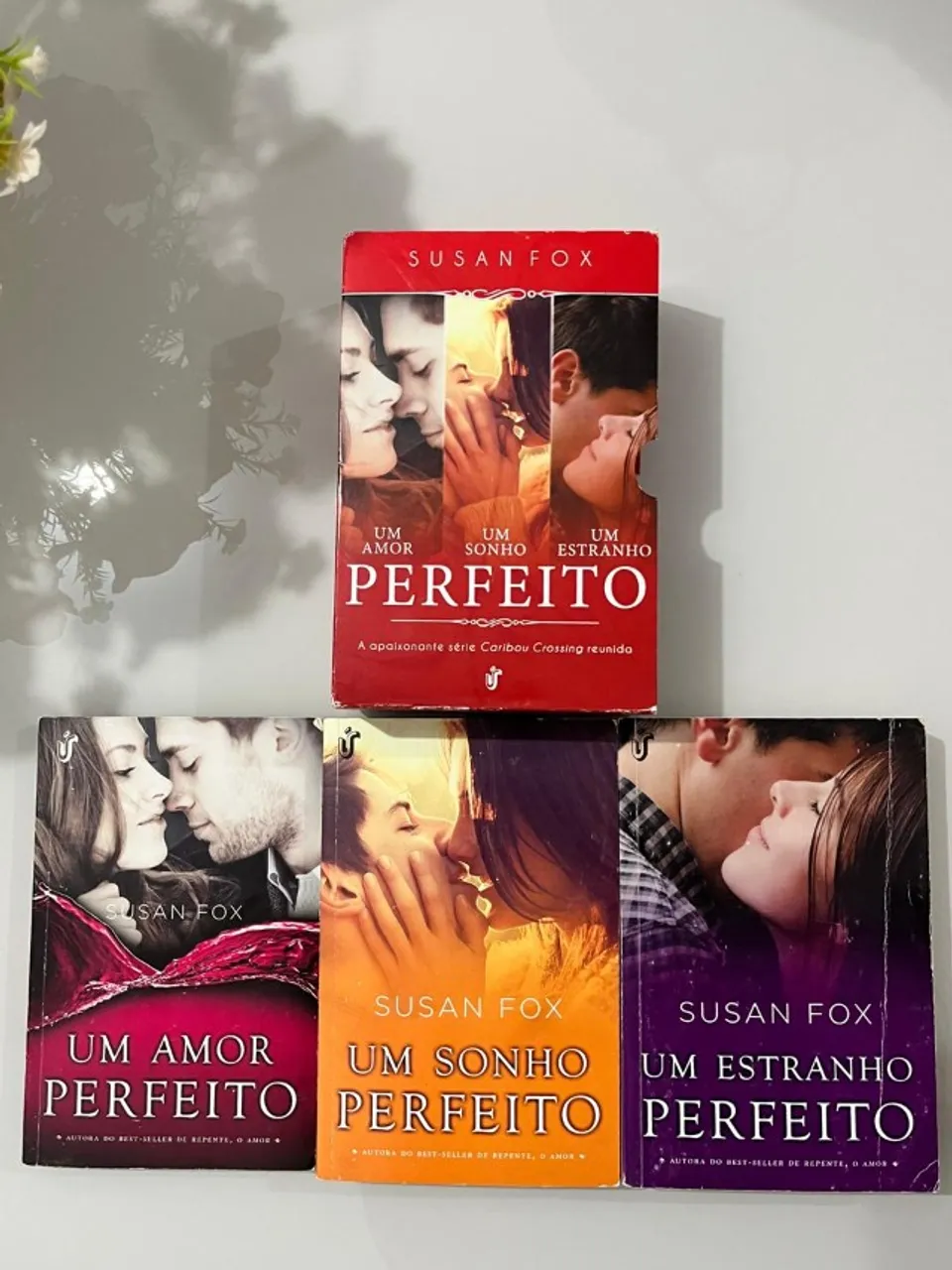 Trilogia Livros Perfeito - Susan Fox