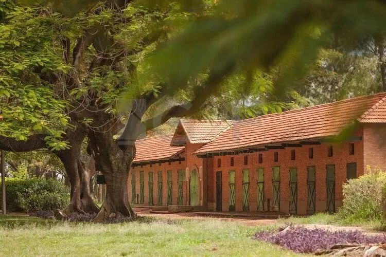 Terreno à venda no Haras Patente Jaguariúna - Foto 2