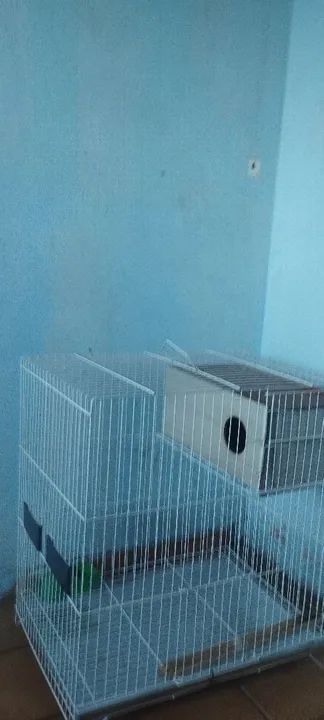 Gaiola de calopsita completa - Foto 5