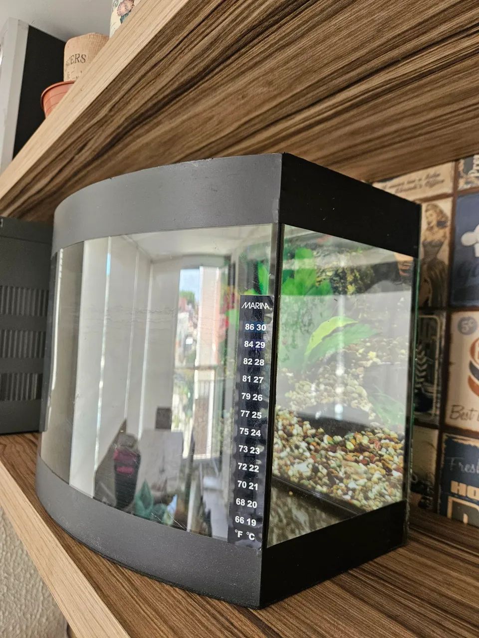 Aquário curvo de 26 litros - Foto 2