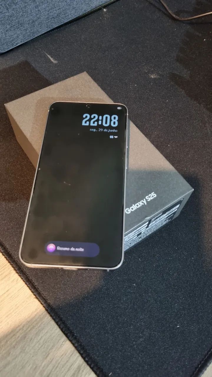 S25 Prata 256gb 12Ram 
