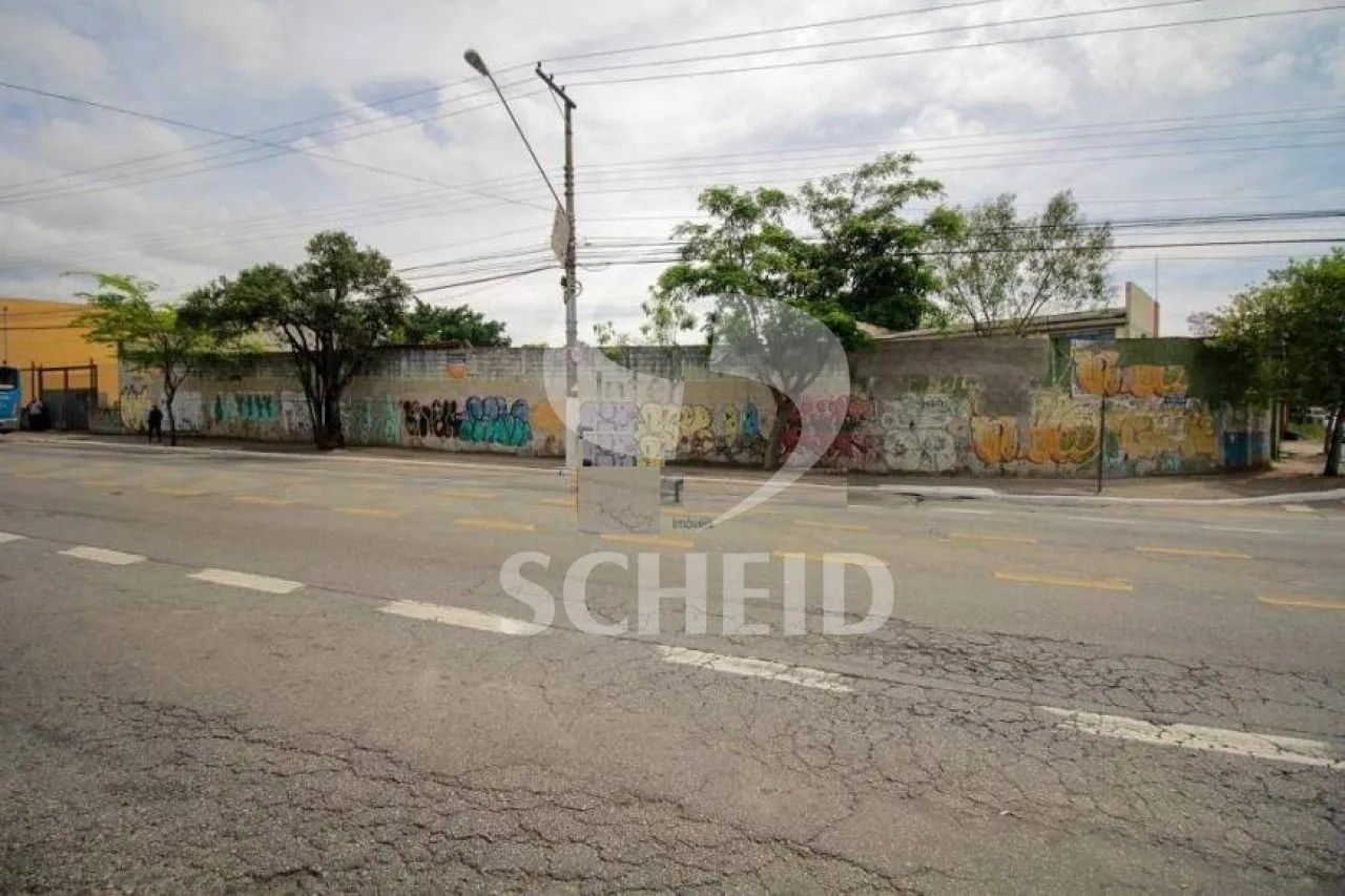 Terreno - Vila Friburgo - Foto 2