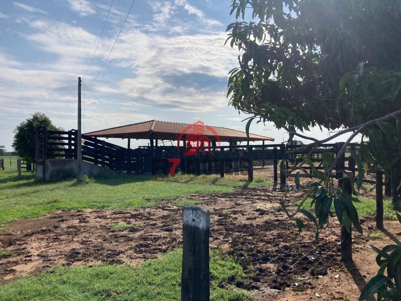 FAZENDA EM BRITÂNIA  GO