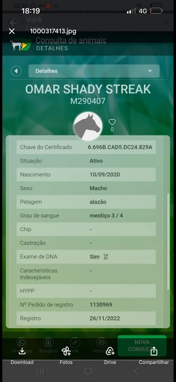 Cavalo de Prado treinando pra derrubar boi com documento  - Foto 4