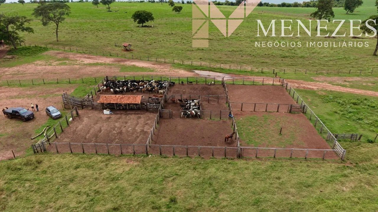 FAZENDA À VENDA ITARUMÃ GO - Foto 5