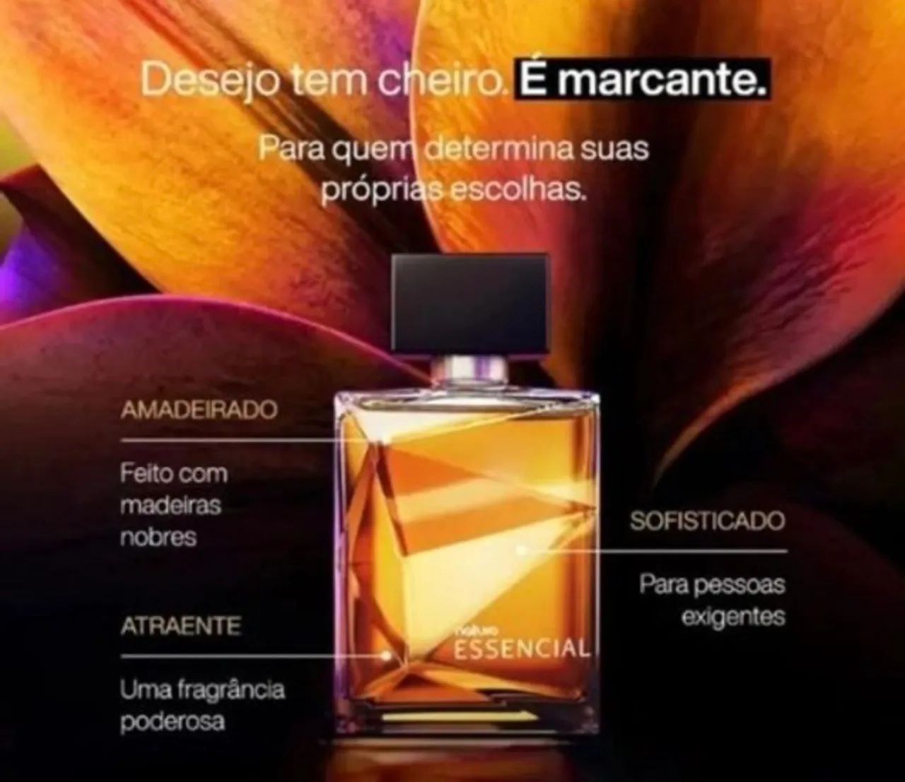Linha essencial  - Foto 2