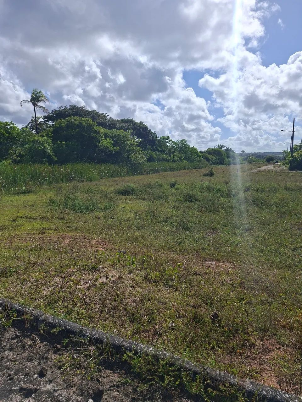 Terreno em Lucena - Foto 3