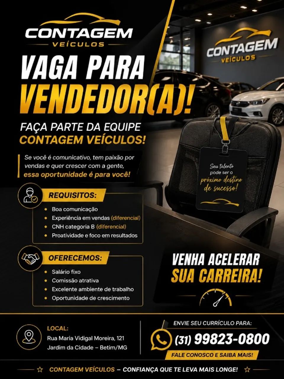 VENDEDOR AUTOMOTIVO 