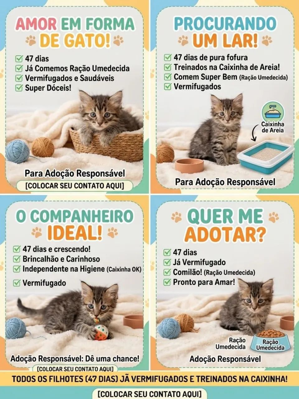 Filhotes Gatos  - Foto 3
