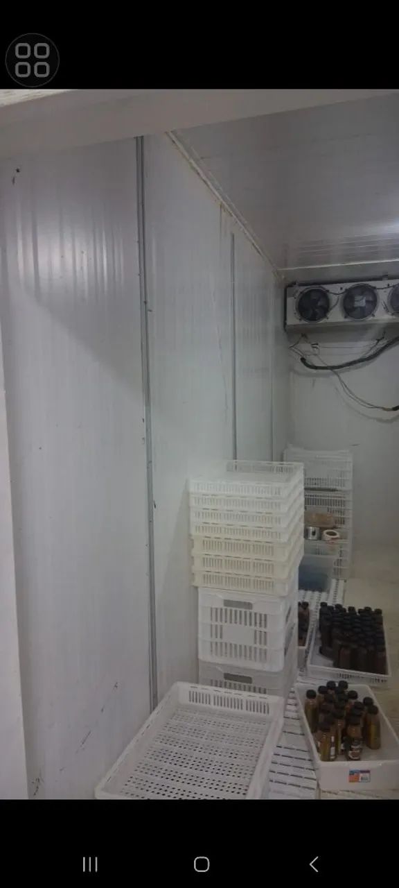 Câmara frigorífica  - Foto 3
