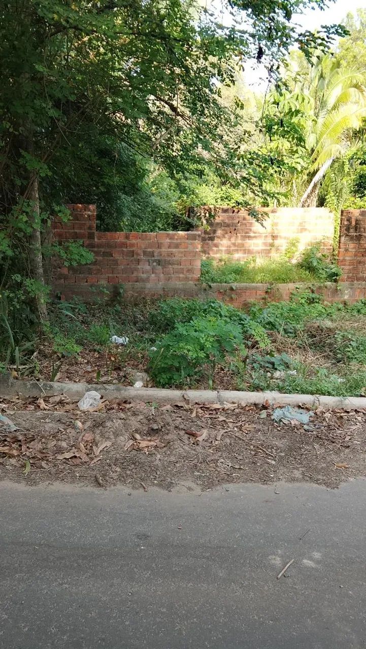 Terreno no gapara  - Foto 4