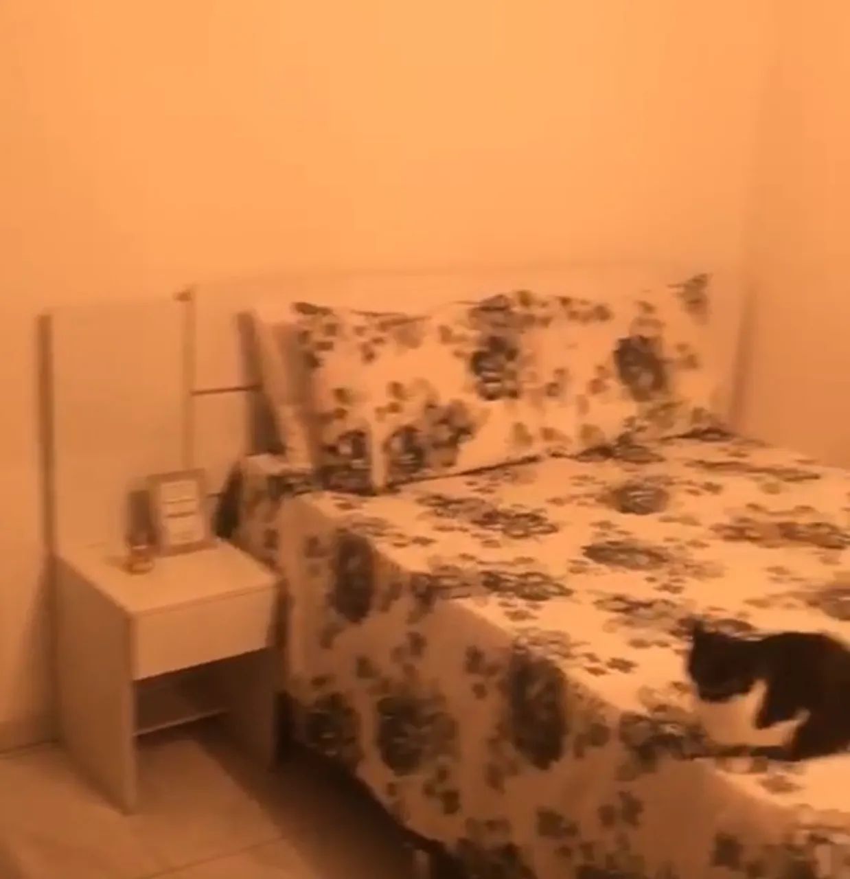 Cabeceira de cama de casal - Foto 2