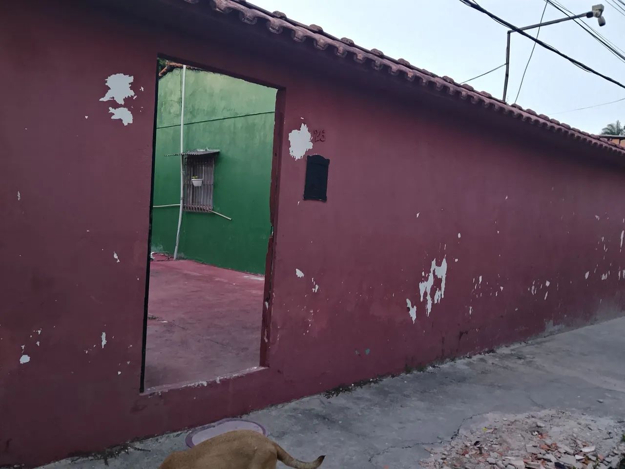 Foto - Belém - Bengui