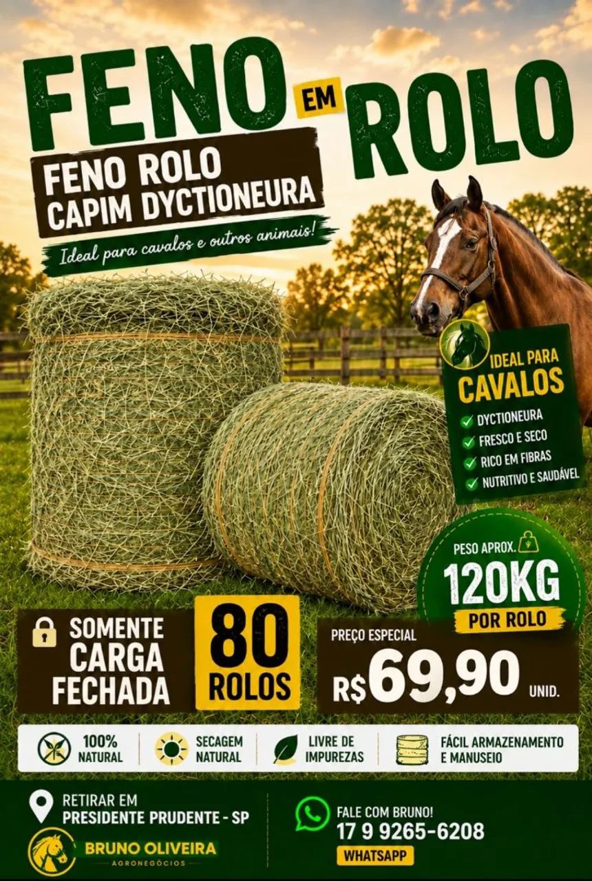 Feno Dyctioneura verde cavalo 120kg CARGA FECHADA - Foto 3